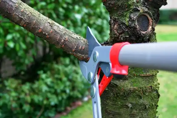 tree services Sullivan City